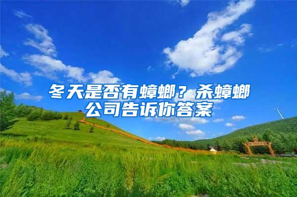 冬天是否有蟑螂？杀蟑螂公司告诉你答案
