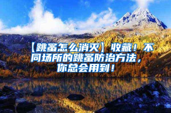 【跳蚤怎么消灭】收藏！不同场所的跳蚤防治方法，你总会用到！