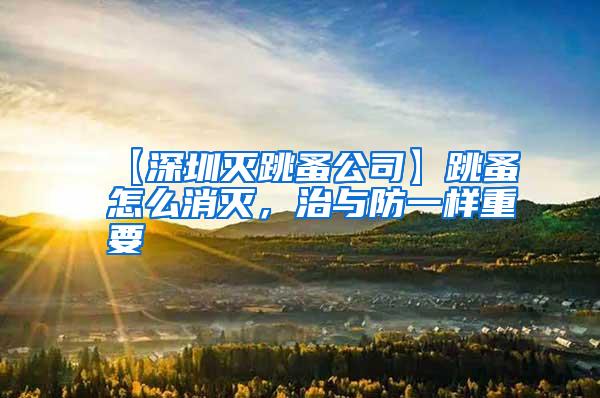 【深圳灭跳蚤公司】跳蚤怎么消灭，治与防一样重要