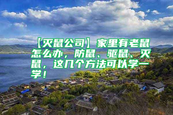 【灭鼠公司】家里有老鼠怎么办，防鼠、驱鼠、灭鼠，这几个方法可以学一学！
