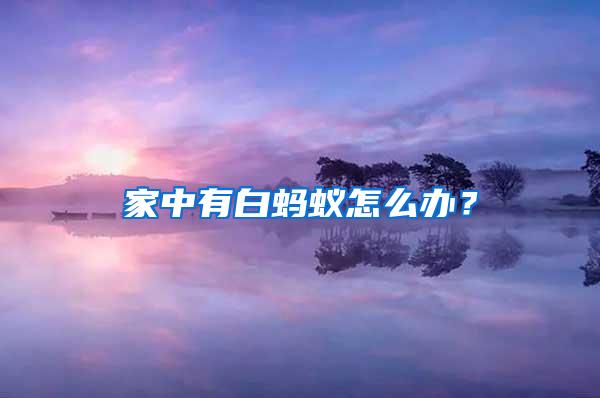 家中有白蚂蚁怎么办？