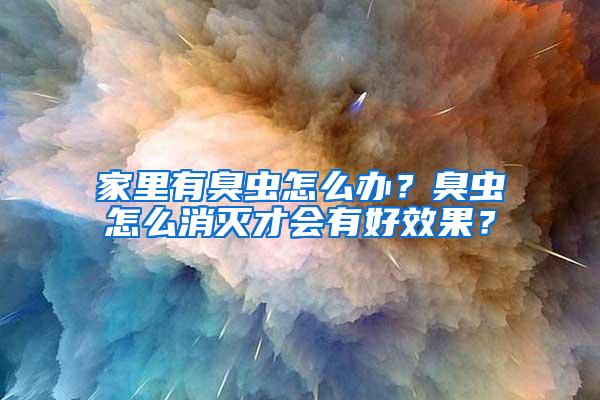 家里有臭虫怎么办？臭虫怎么消灭才会有好效果？