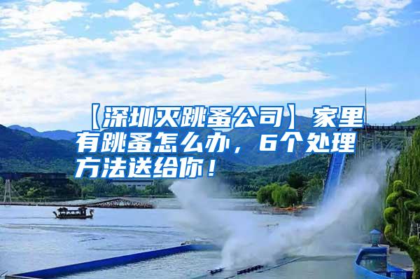 【深圳灭跳蚤公司】家里有跳蚤怎么办，6个处理方法送给你！
