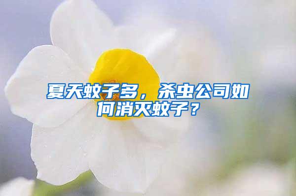 夏天蚊子多，杀虫公司如何消灭蚊子？
