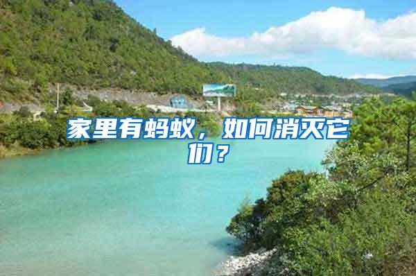 家里有蚂蚁，如何消灭它们？
