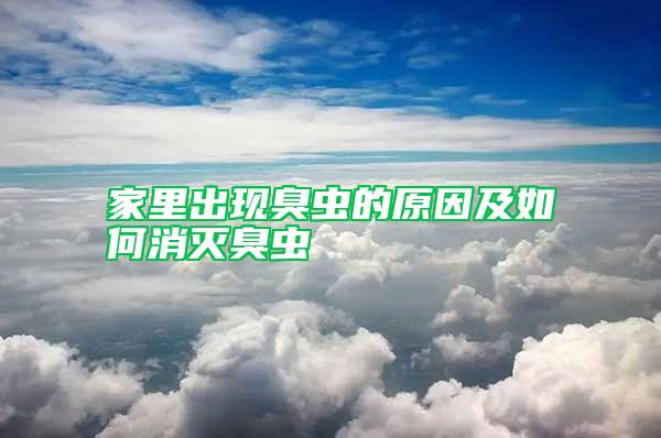 家里出现臭虫的原因及如何消灭臭虫