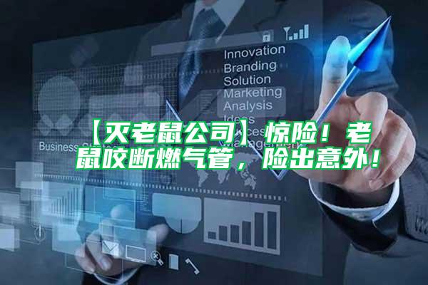【灭老鼠公司】惊险！老鼠咬断燃气管，险出意外！