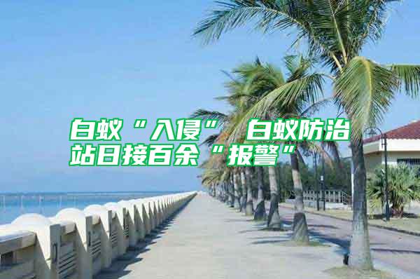 白蚁“入侵” 白蚁防治站日接百余“报警”