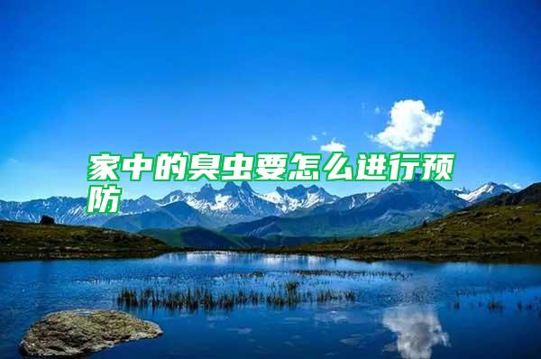 家中的臭虫要怎么进行预防
