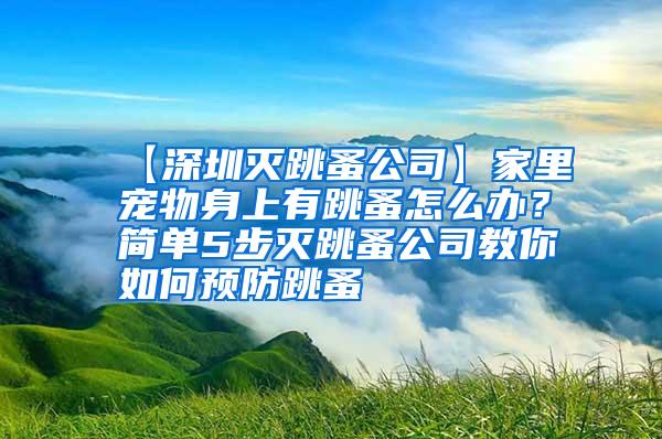 【深圳灭跳蚤公司】家里宠物身上有跳蚤怎么办？简单5步灭跳蚤公司教你如何预防跳蚤