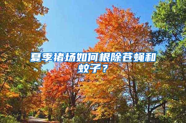 夏季猪场如何根除苍蝇和蚊子？