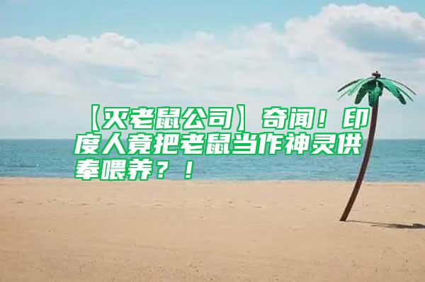 【灭老鼠公司】奇闻！印度人竟把老鼠当作神灵供奉喂养？！