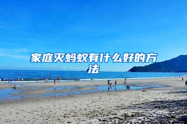 家庭灭蚂蚁有什么好的方法