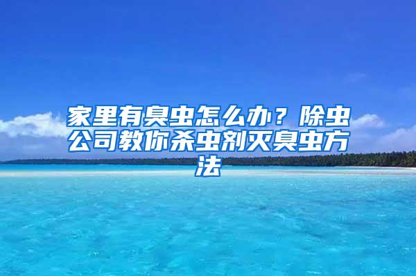 家里有臭虫怎么办？除虫公司教你杀虫剂灭臭虫方法