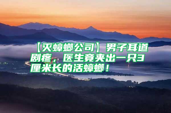 【灭蟑螂公司】男子耳道剧疼，医生竟夹出一只3厘米长的活蟑螂！