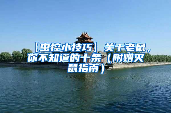 【虫控小技巧】关于老鼠，你不知道的十条（附赠灭鼠指南）