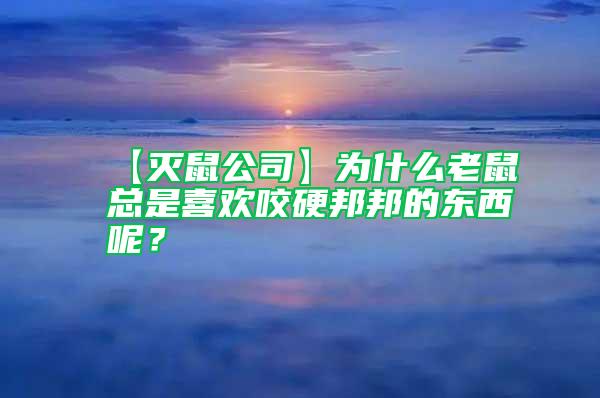 【灭鼠公司】为什么老鼠总是喜欢咬硬邦邦的东西呢？