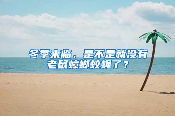 冬季来临，是不是就没有老鼠蟑螂蚊蝇了？