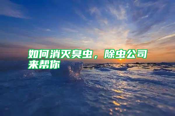 如何消灭臭虫，除虫公司来帮你