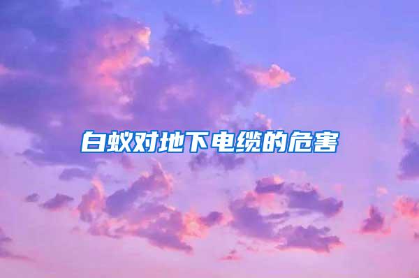 白蚁对地下电缆的危害