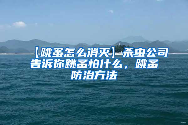 【跳蚤怎么消灭】杀虫公司告诉你跳蚤怕什么，跳蚤防治方法
