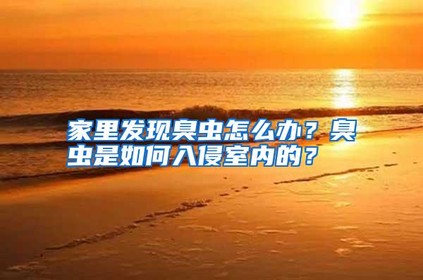 家里发现臭虫怎么办？臭虫是如何入侵室内的？