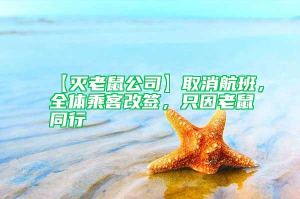 【灭老鼠公司】取消航班，全体乘客改签，只因老鼠同行