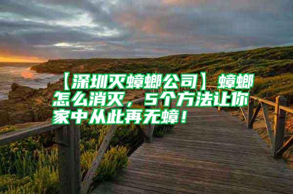 【深圳灭蟑螂公司】蟑螂怎么消灭，5个方法让你家中从此再无蟑！