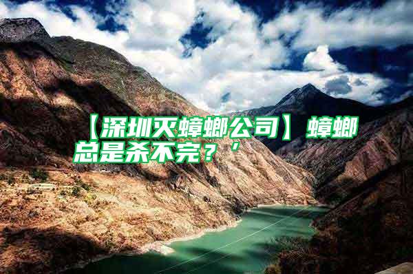 【深圳灭蟑螂公司】蟑螂总是杀不完？’