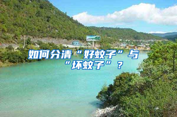 如何分清“好蚊子”与“坏蚊子”？
