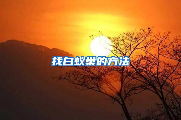 找白蚁巢的方法