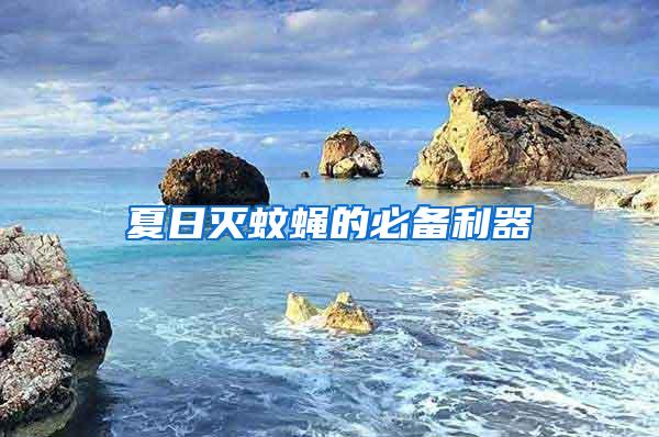 夏日灭蚊蝇的必备利器
