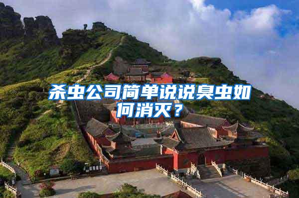 杀虫公司简单说说臭虫如何消灭？