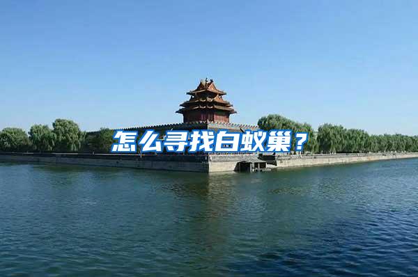 怎么寻找白蚁巢？