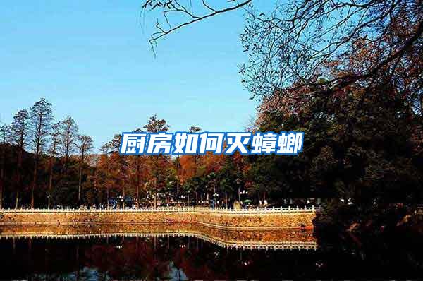 厨房如何灭蟑螂