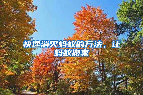 快速消灭蚂蚁的方法，让蚂蚁搬家