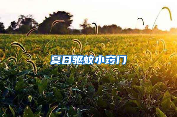 夏日驱蚊小窍门