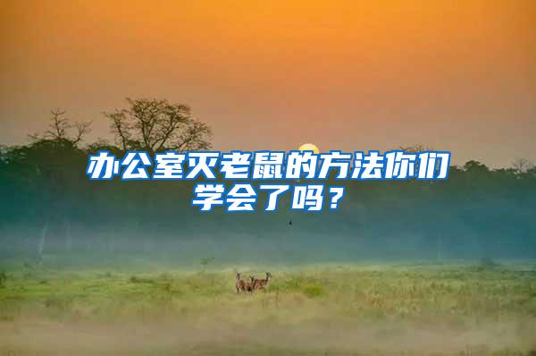 办公室灭老鼠的方法你们学会了吗？