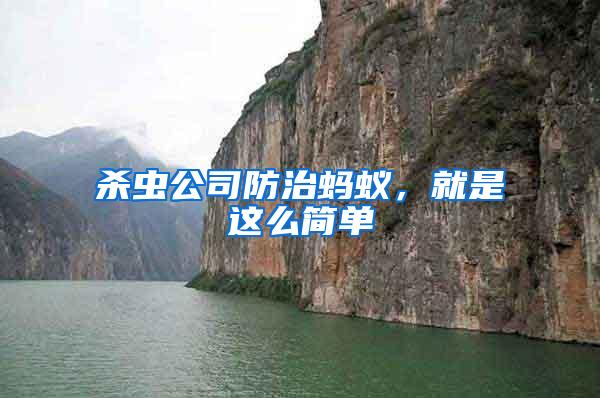 杀虫公司防治蚂蚁，就是这么简单