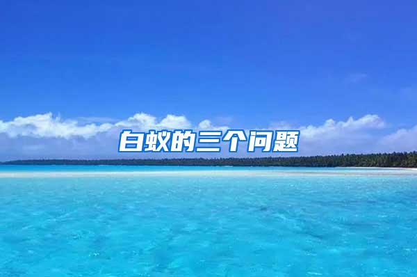 白蚁的三个问题