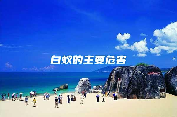 白蚁的主要危害