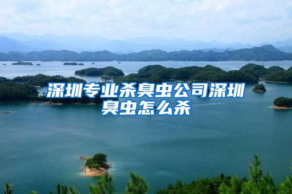 深圳专业杀臭虫公司深圳臭虫怎么杀