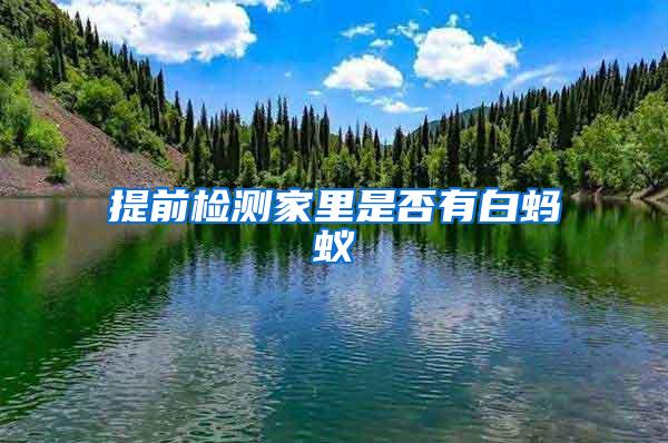 提前检测家里是否有白蚂蚁