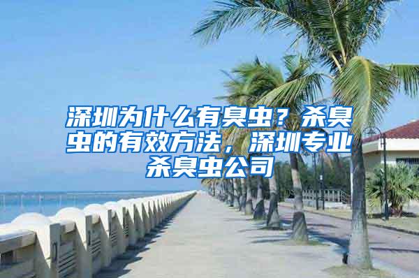 深圳为什么有臭虫？杀臭虫的有效方法，深圳专业杀臭虫公司