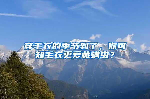 穿毛衣的季节到了，你可知毛衣更爱藏螨虫？