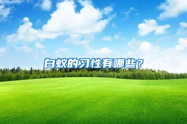 白蚁的习性有哪些？