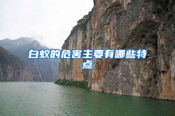 白蚁的危害主要有哪些特点