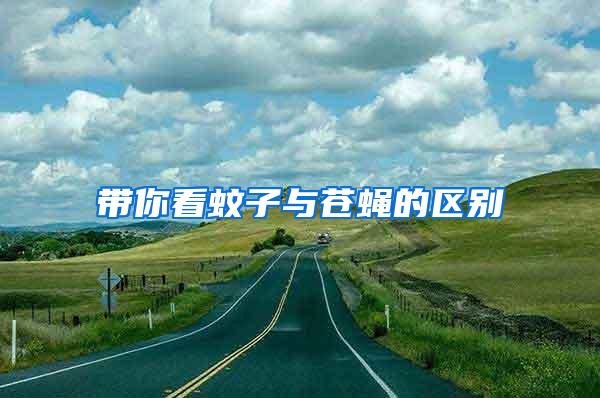 带你看蚊子与苍蝇的区别