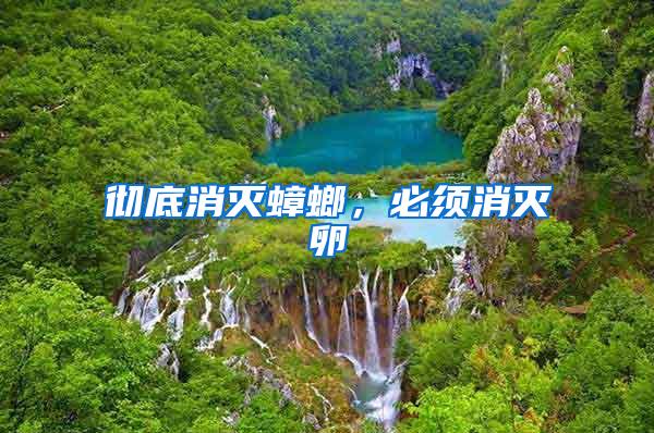 彻底消灭蟑螂，必须消灭卵