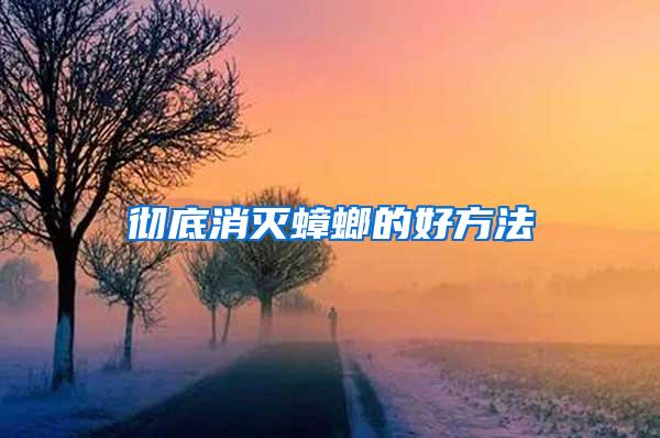 彻底消灭蟑螂的好方法